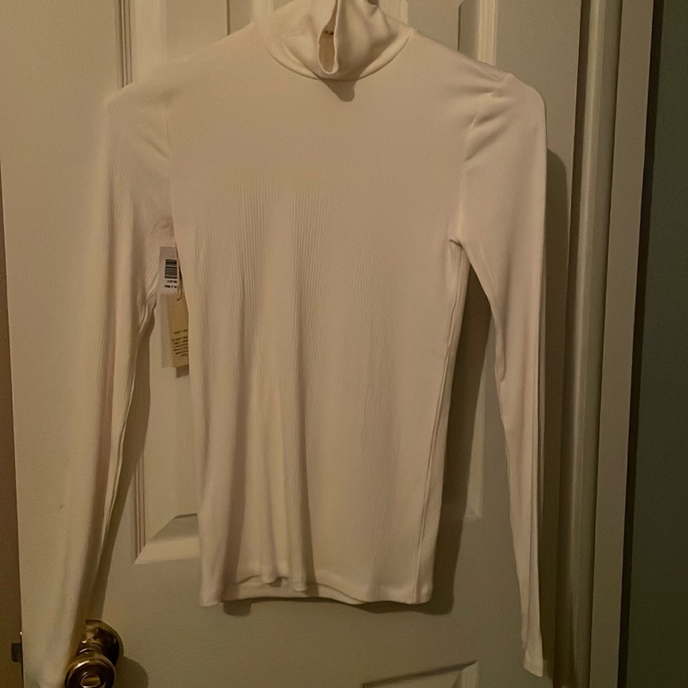 Wilfred turtleneck